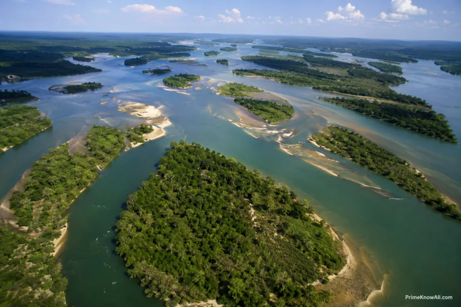 A wide river with multiple channels running through lush green islands in a major river basin.